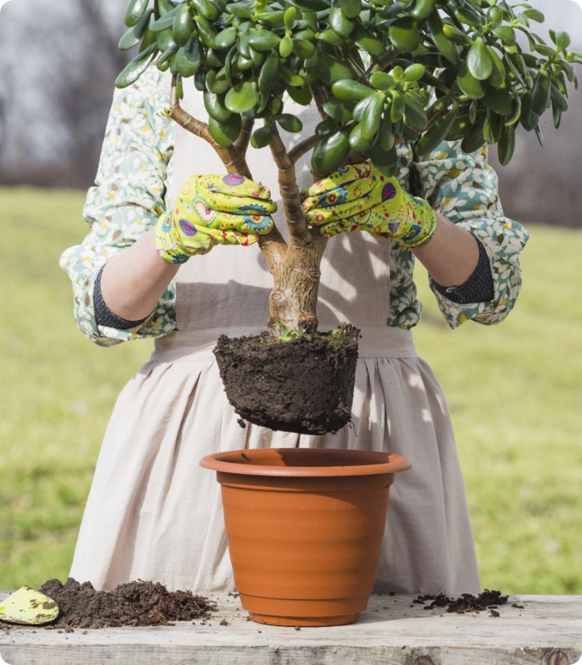 Portrait Woman Gardening 2x