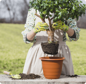 Portrait Woman Gardening